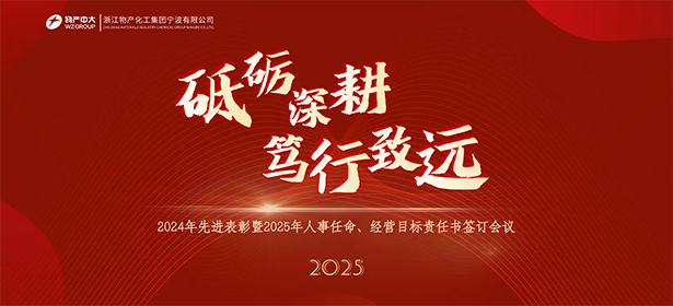 砥礪深耕 篤行致遠(yuǎn)——2024年先進(jìn)表彰暨2025年人事任命、經(jīng)營目標(biāo)責(zé)任書簽訂會(huì)議